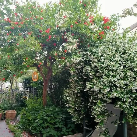 B&B La Melagrana Rossa *