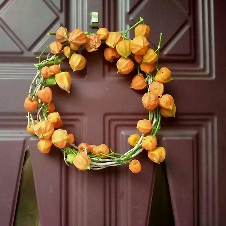 La Melagrana Rossa *