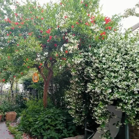 Bed & Breakfast La Melagrana Rossa *