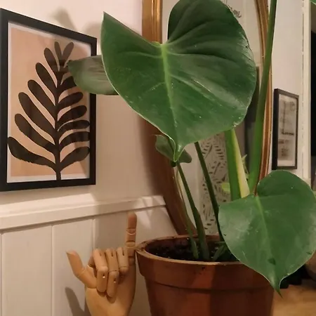 La Melagrana Rossa * Quattro Castella