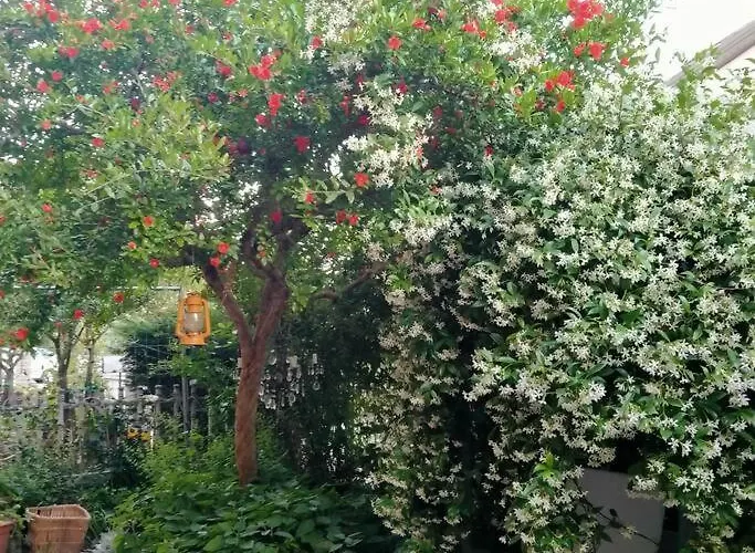 Oda ve Kahvaltı La Melagrana Rossa *