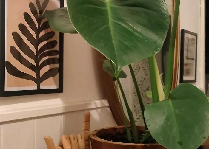 La Melagrana Rossa * Quattro Castella